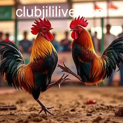 Exploring the Thriving World of Sabong Games with JILILIVE